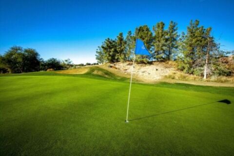 Film Tucson Arizona Golf Course Photo 43