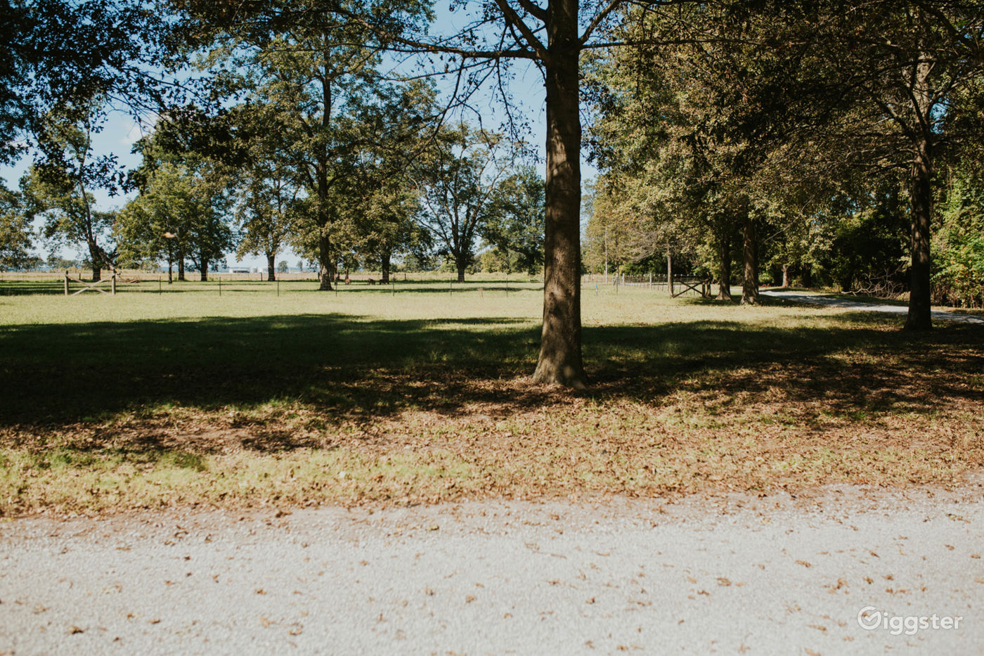 Getaway on Banks of St Francis River Rent this location on Giggster