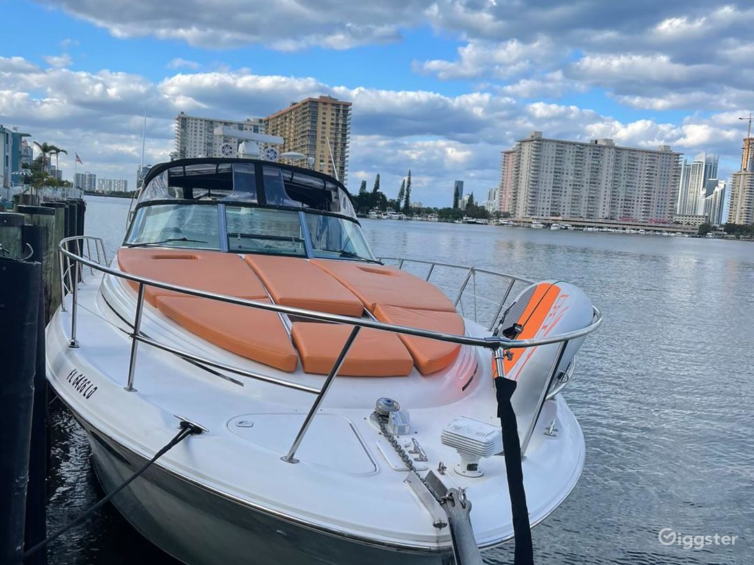 Classic 42ft SEA RAY Duffy&#39;s Party Yacht Space Events Photo 4