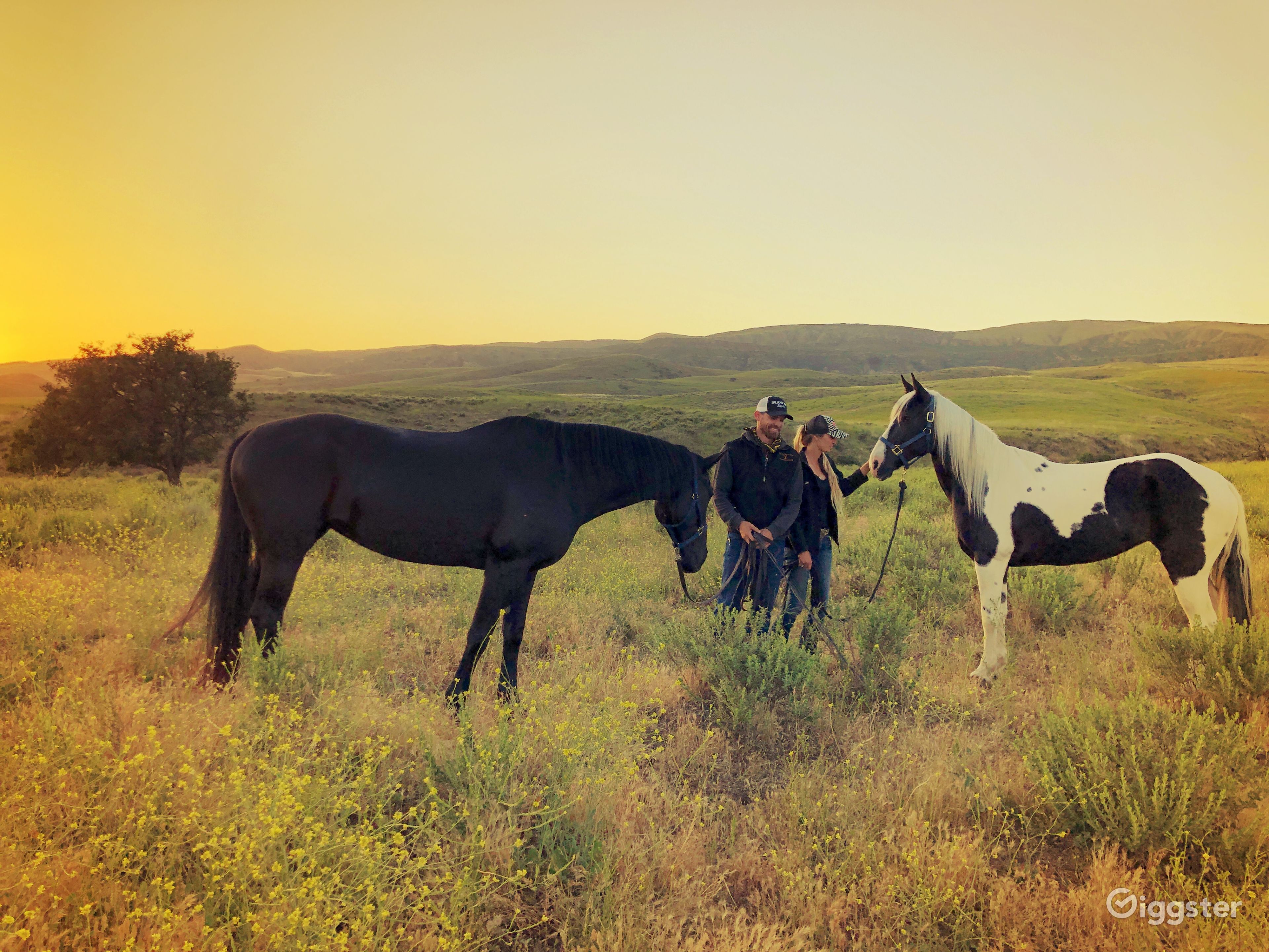3,800acre Ranch in Moorpark Rent this location on Giggster