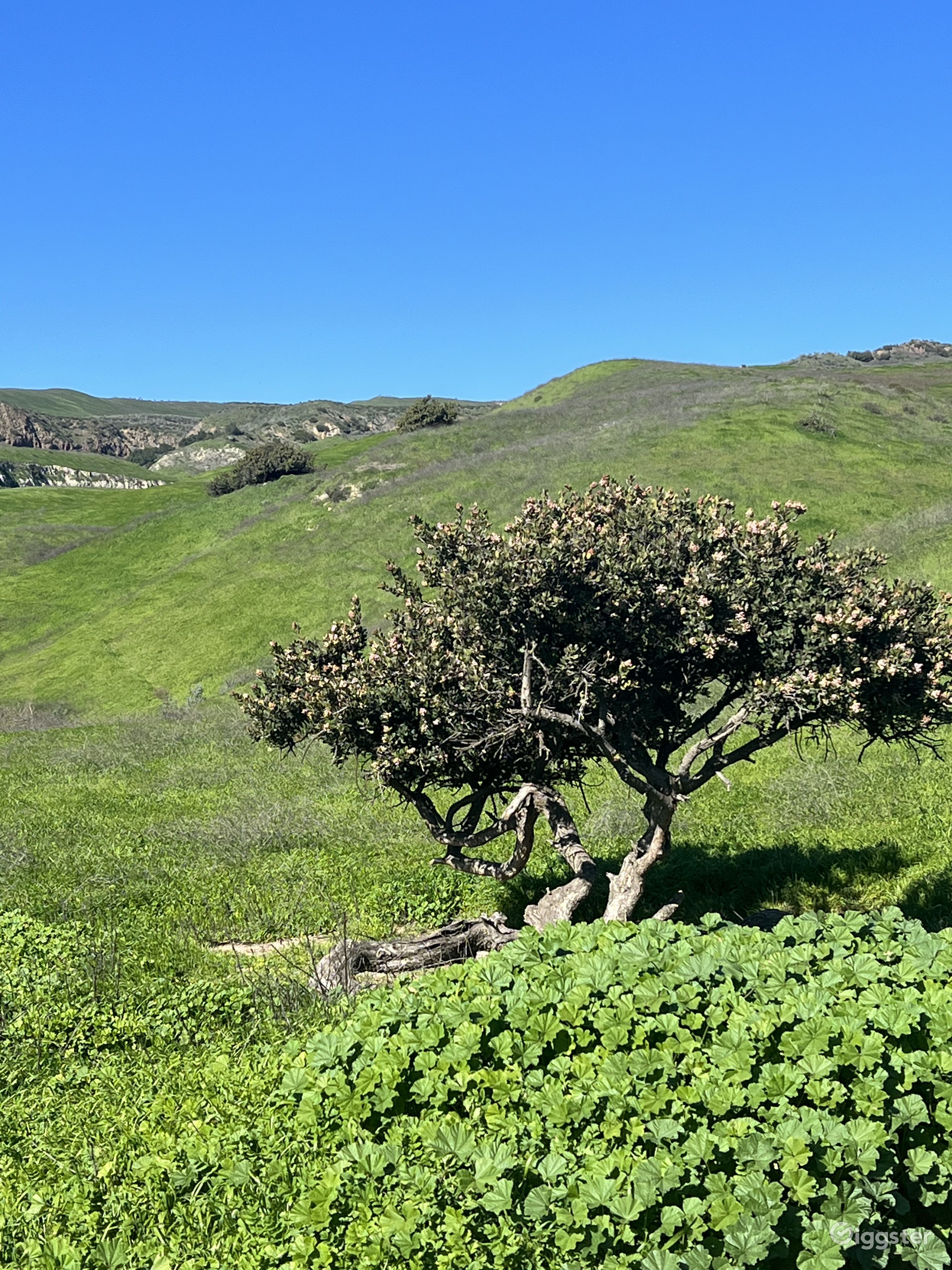 3,800acre Ranch in Moorpark Rent this location on Giggster