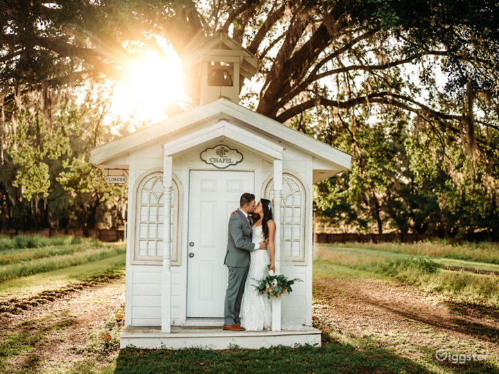 Beautiful Flower Field with Florida Wildflowers Rent this location on