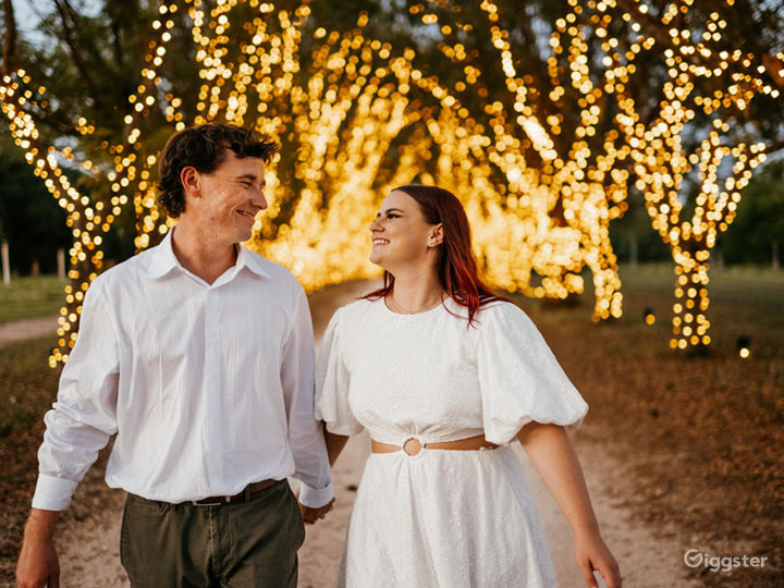 Beautiful Flower Field with Florida Wildflowers Rent this location on