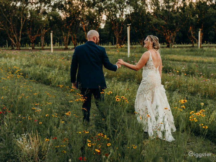 Beautiful Flower Field with Florida Wildflowers Rent this location on