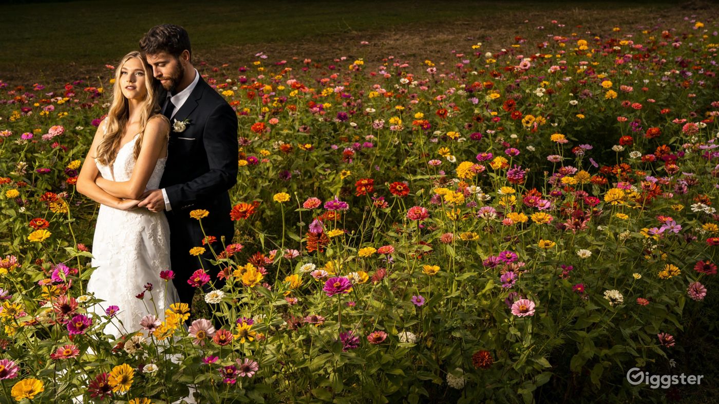 Beautiful Flower Field with Florida Wildflowers Rent this location on
