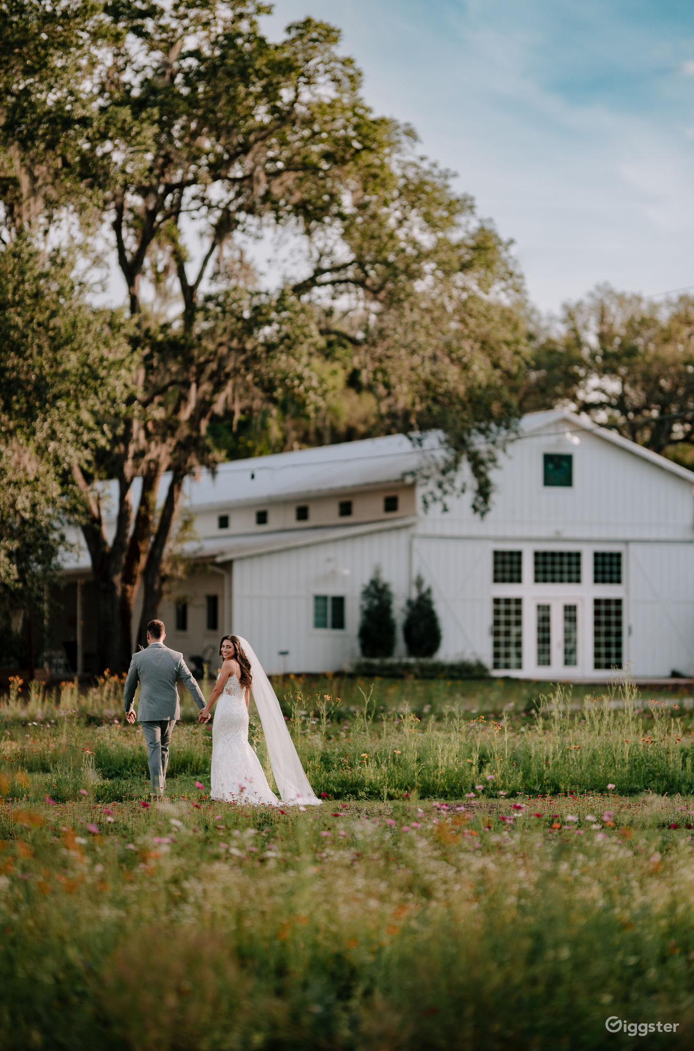 Beautiful Flower Field with Florida Wildflowers Rent this location on