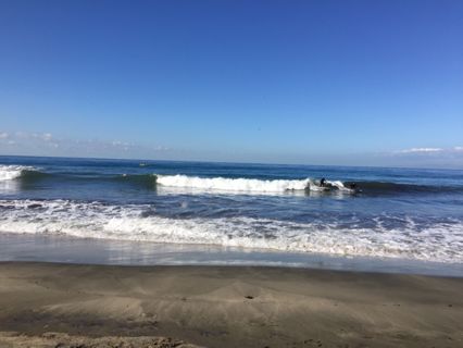 Torrance Beach Photo 2