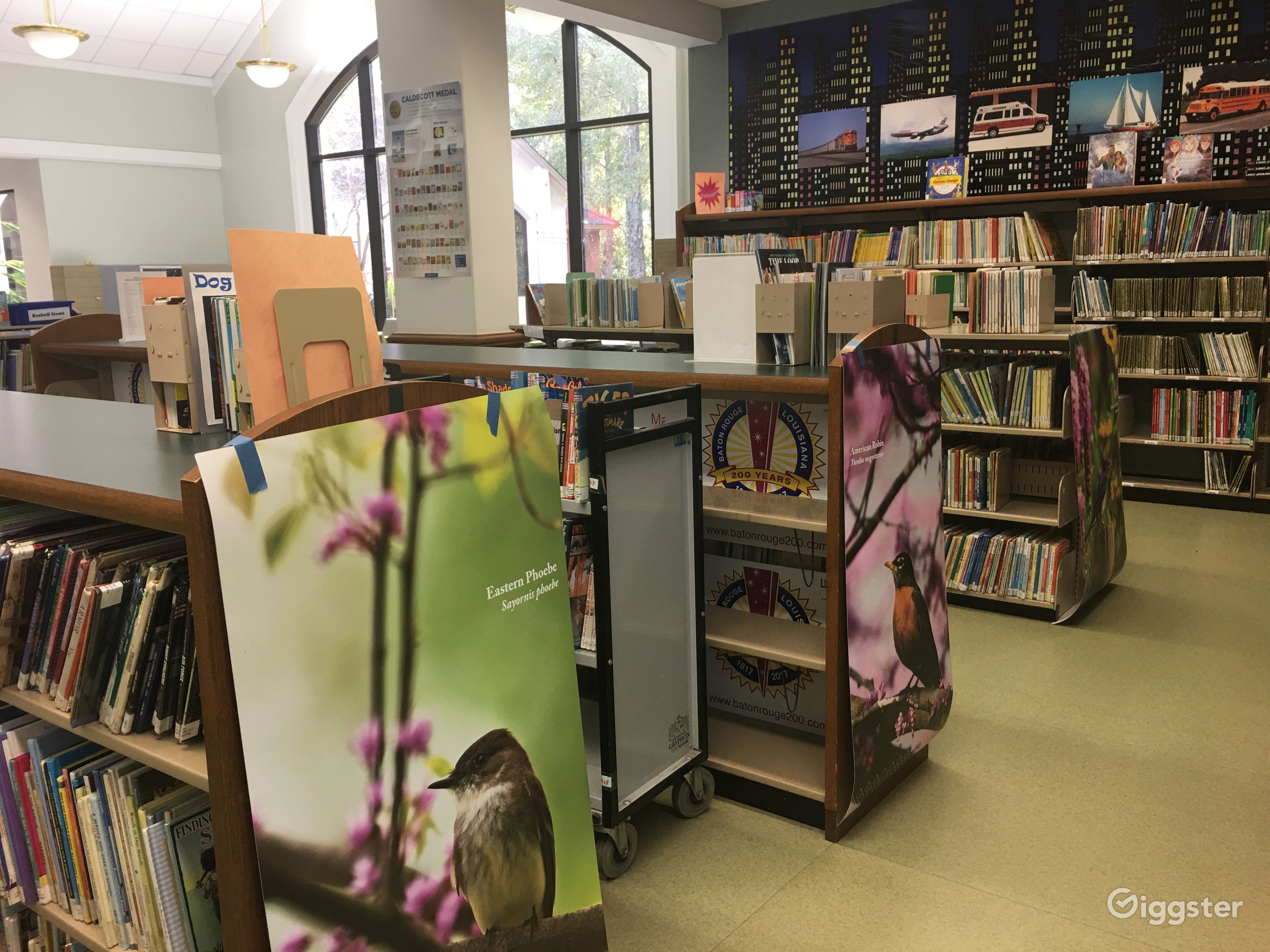 Public Library in Regional Branch Rent this location on