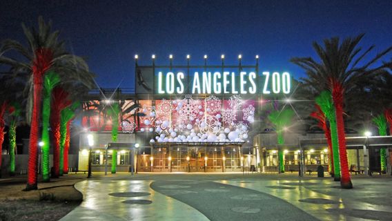 Griffith Park Photo 7