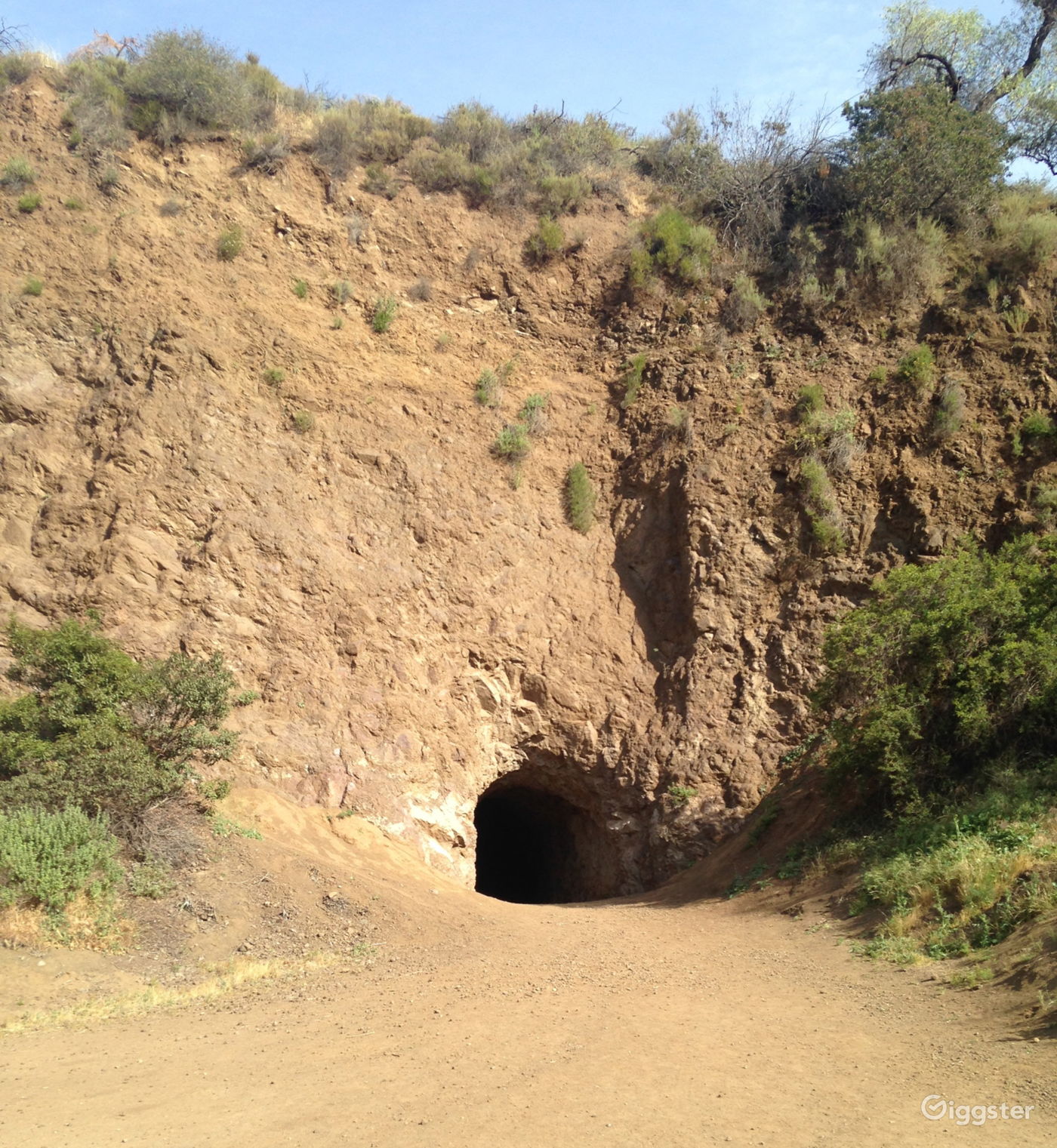 Griffith Park Photo 5