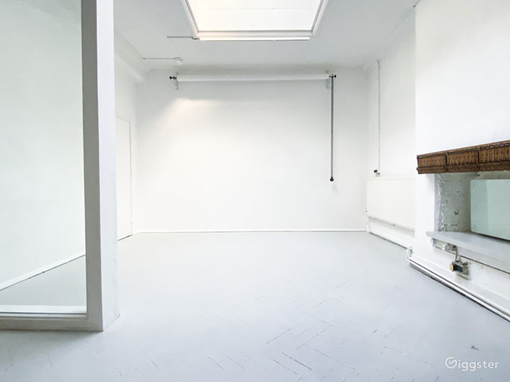 Daylight studio with Skylight