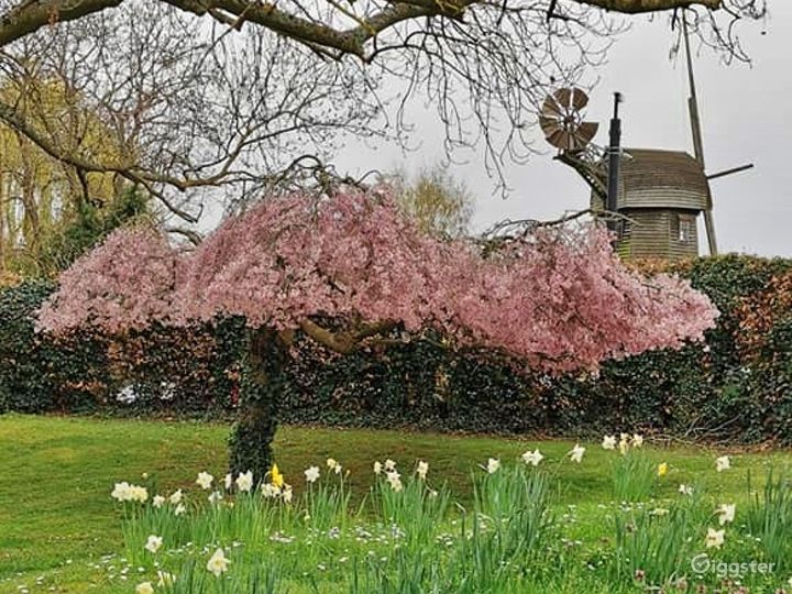Sophisticated Event/Meeting room in Wraysbury Rent this location on
