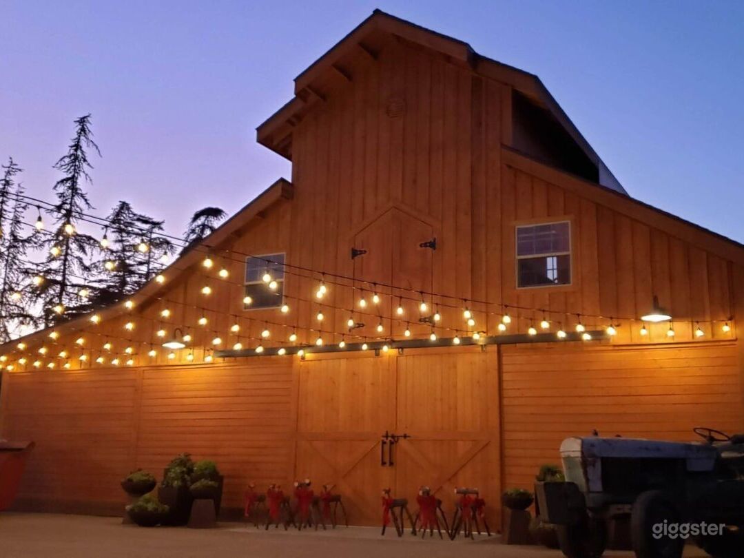 Rustic BARN and CHRISTMAS TREE FARM