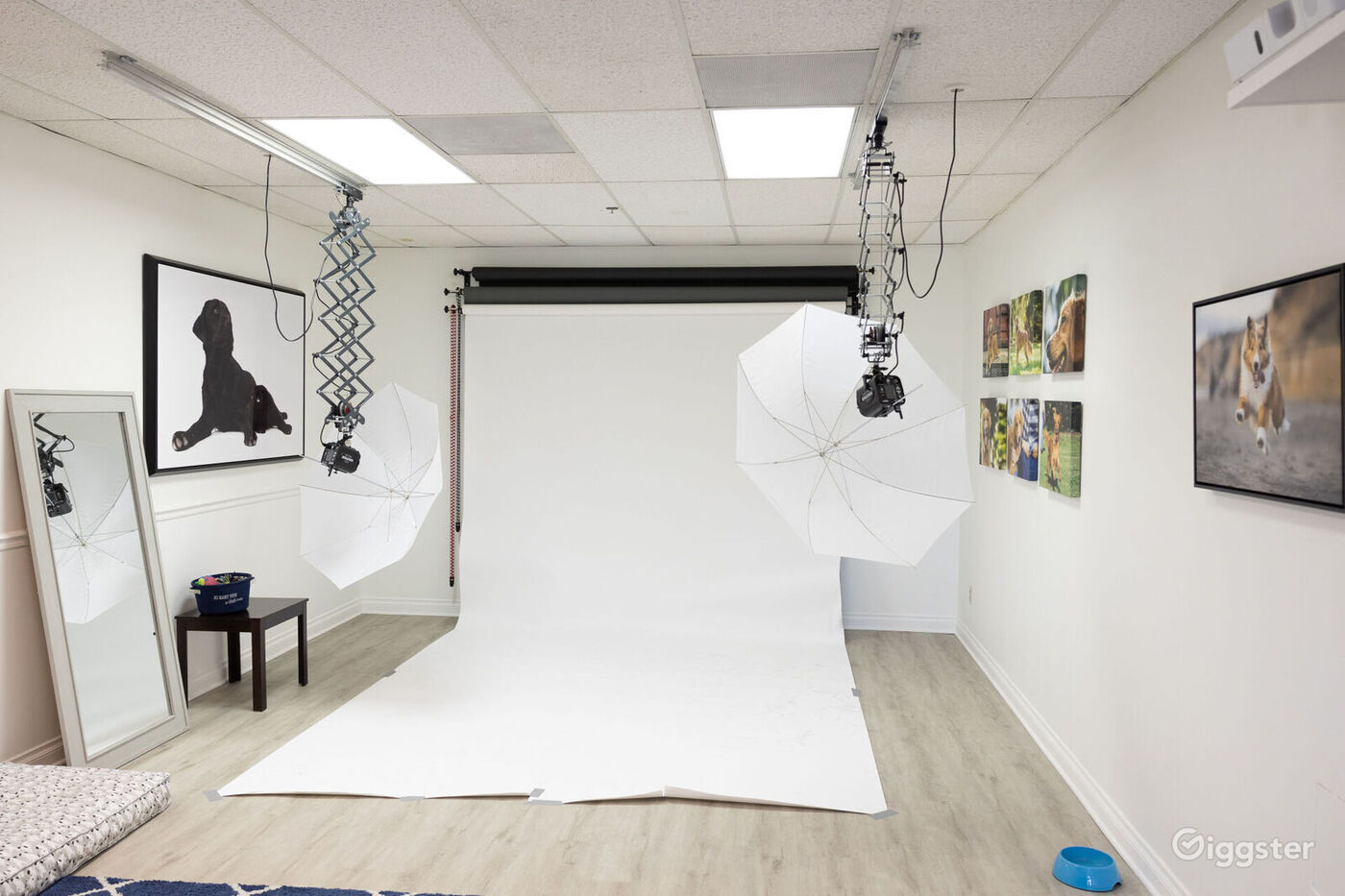 Bright Photo Studio in Rancho Bernardo w/Lights Rent this location on