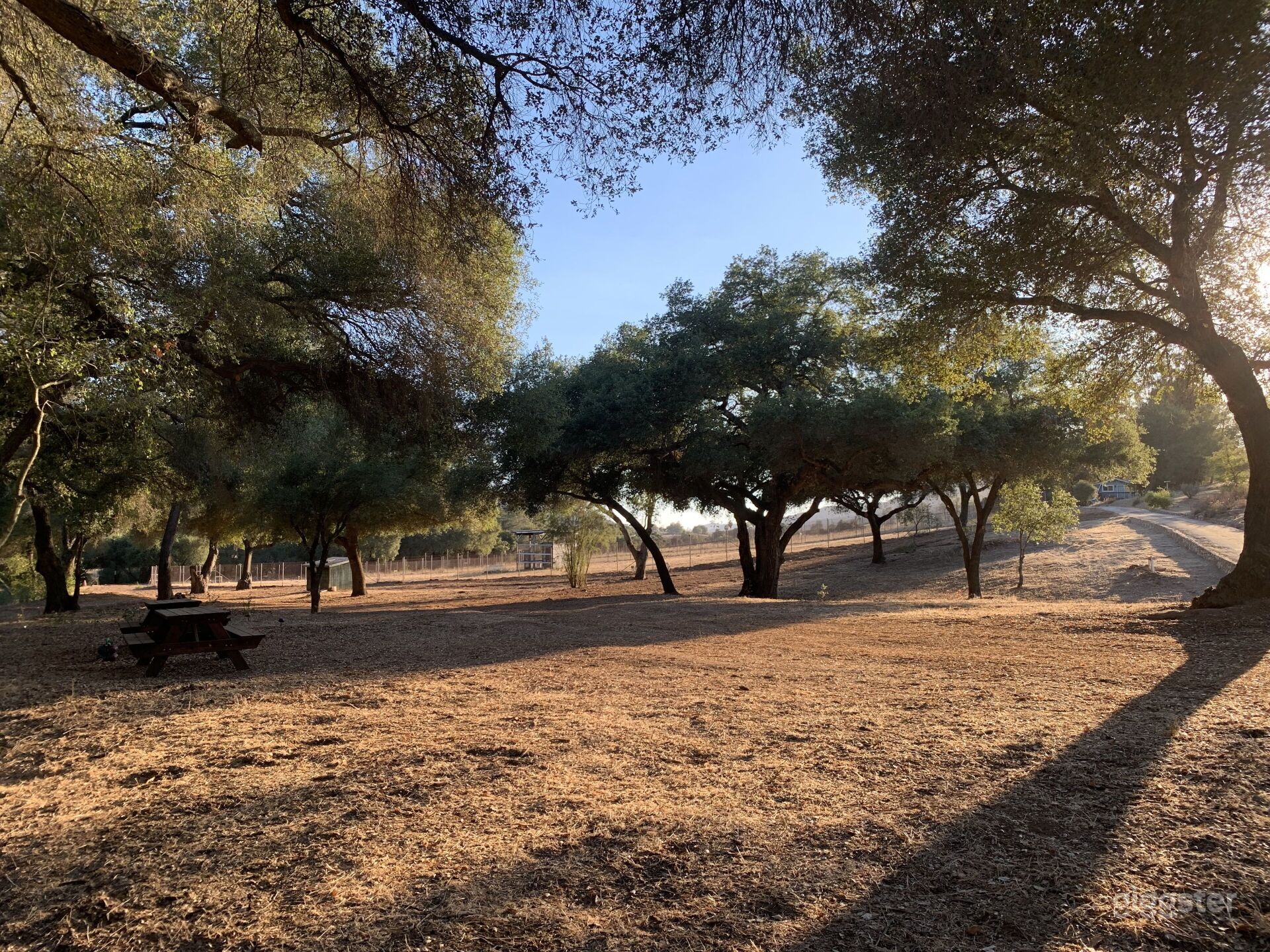 Oak Meadows