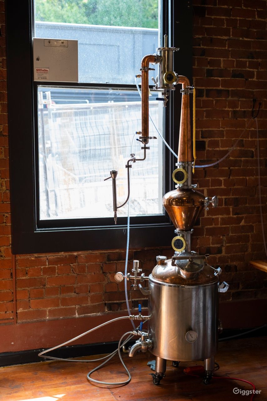 House of Spirits in Sunny Dunedin Rent this location on Giggster