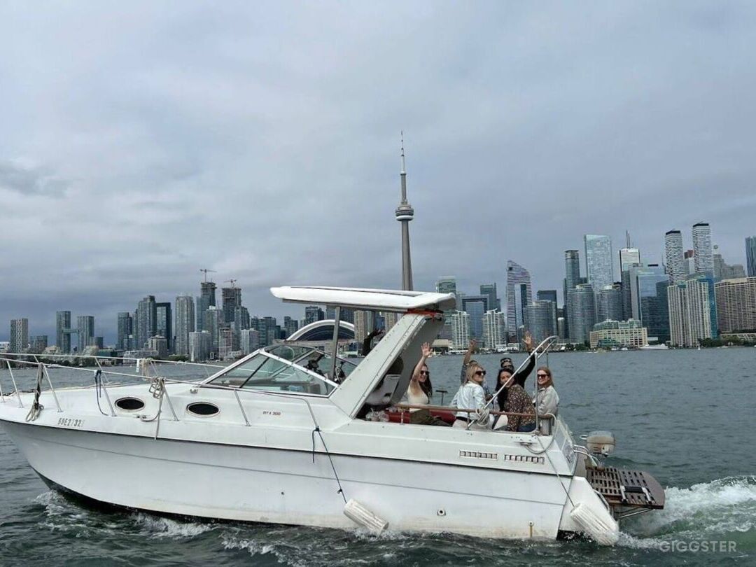 Ready to Party on 34ft MTX Stylish Motor boat Photo 3