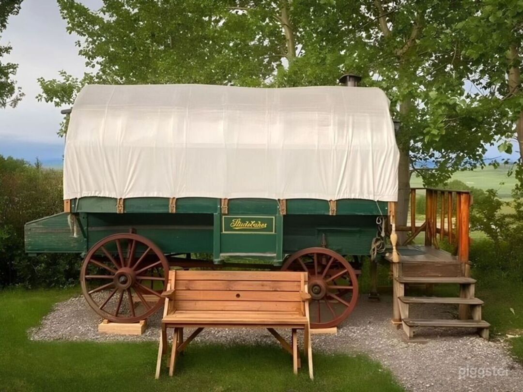  Nellie The Sheep Camping Wagon 