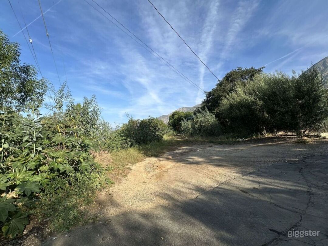 Wooded lot with Stunning Mountain Backdrop | Rent this location on Giggster