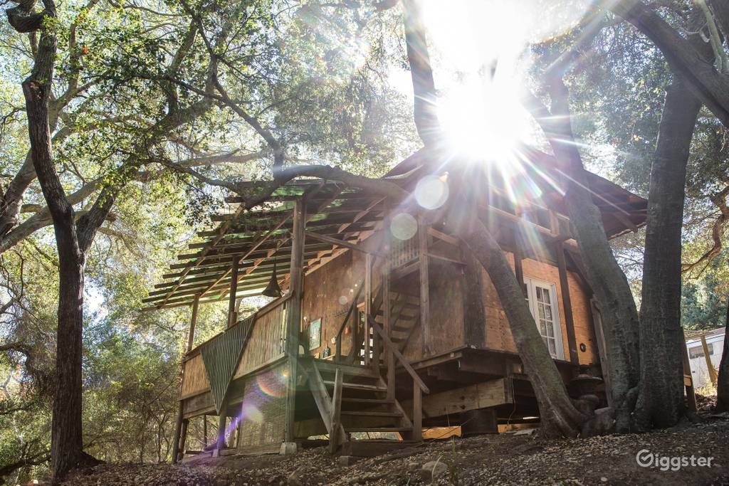 デビッド・タトウィラー、【THE GARDEN COTTAGE GIFT】 full_hd.jpeg