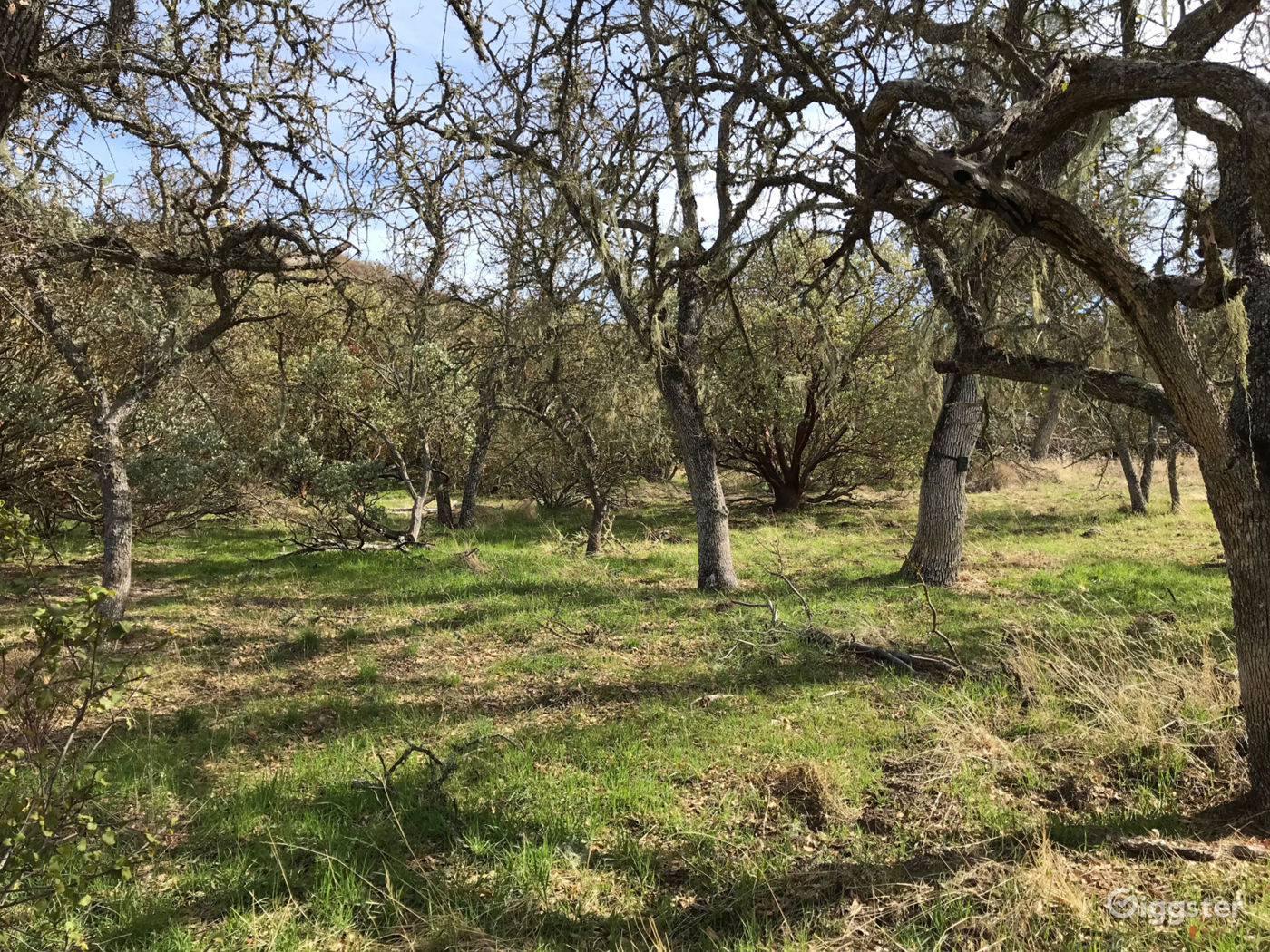 Quail Valley Ranch Rent this location on Giggster