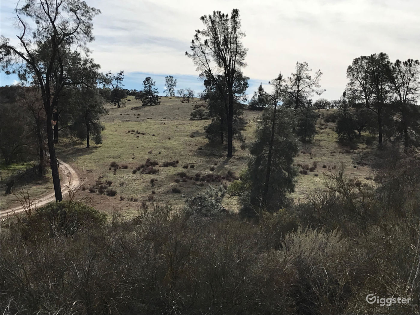 Quail Valley Ranch Rent this location on Giggster