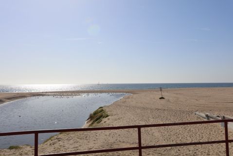Will Rogers State Beach | Lifeguard Towers 17-18 Photo 59