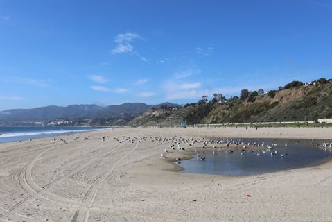 Will Rogers State Beach | Lifeguard Towers 17-18 Photo 26