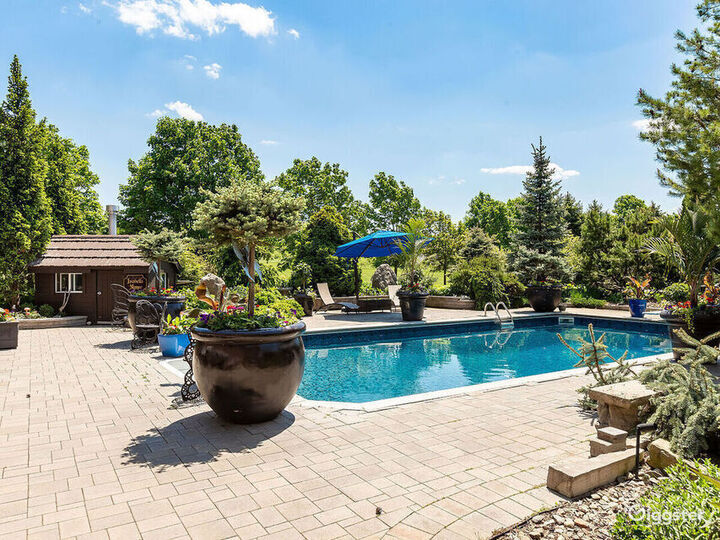 A TrueGem "Pool" in Caledon Village Rent this location on Giggster