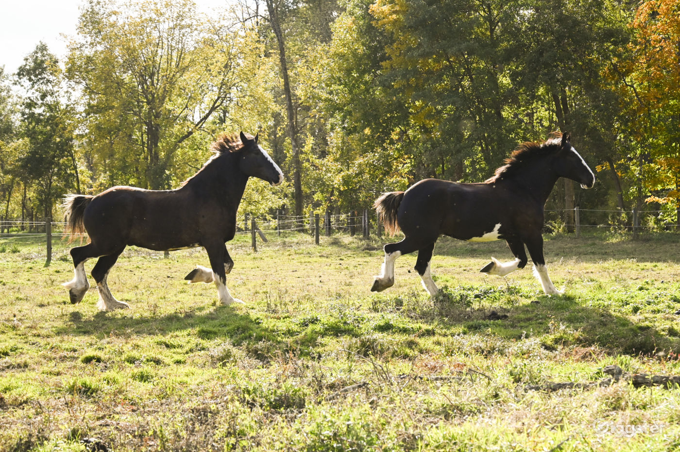Charming Riverside Clydesdale Farm & Event Space Rent this location