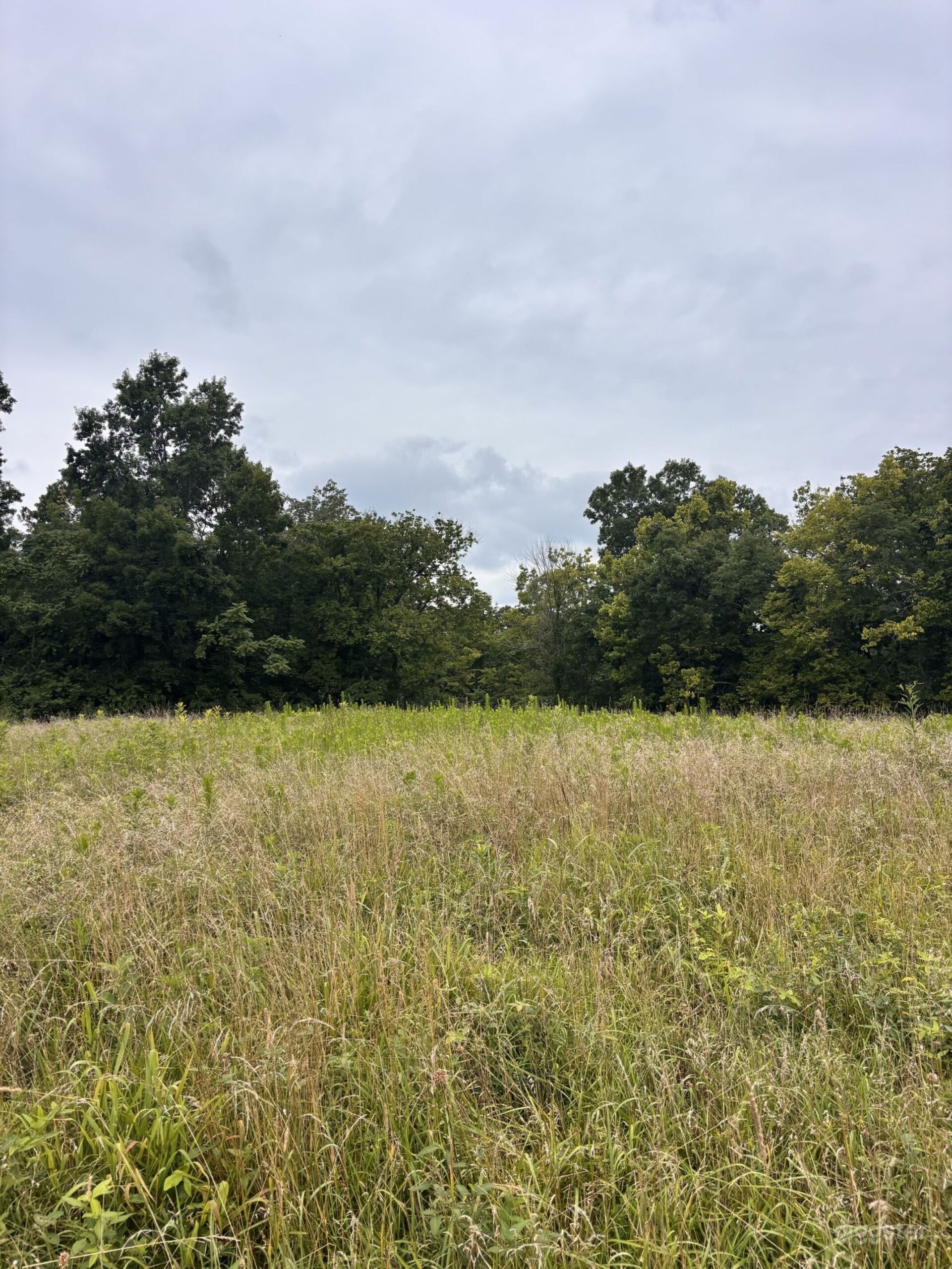 Remote Film Location Near Cincinnati鈥揥oodlands & Open Fields, Jonesville