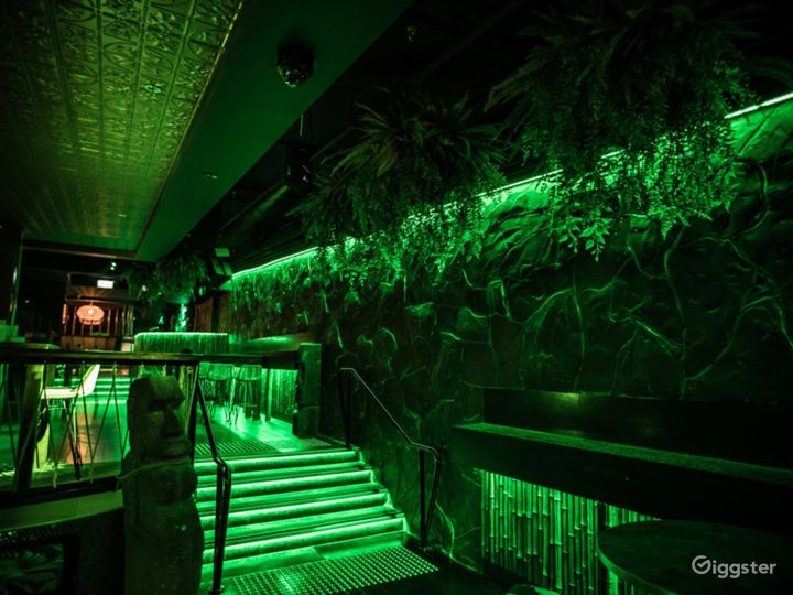 IMMERSIVE JUNGLE Rent this location on Giggster