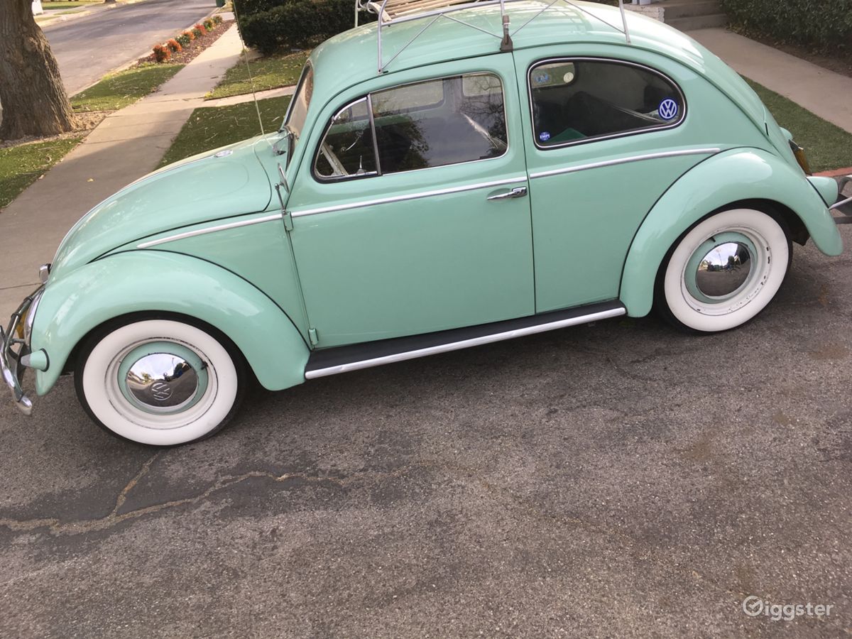 1956 Volkswagen Vw Bug Beetle Car Transportation For Film The Car Transportation 1956 Volkswagen Vw Bug Beetle For Film