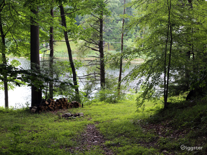 The Chaplin Mansion in the Woods Rent this location on Giggster