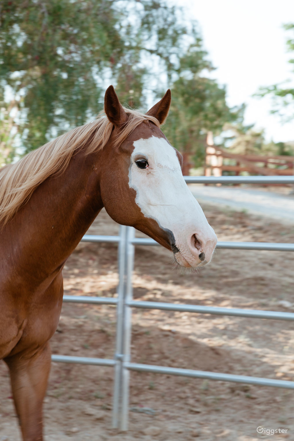 Double R Ranch Rent this location on Giggster