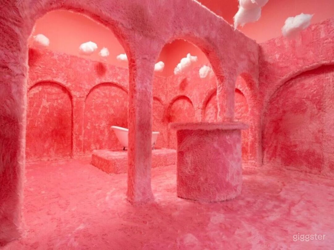 The Pink Fur Set Photo 4