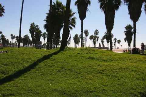 Venice Beach Recreation Center Photo 37