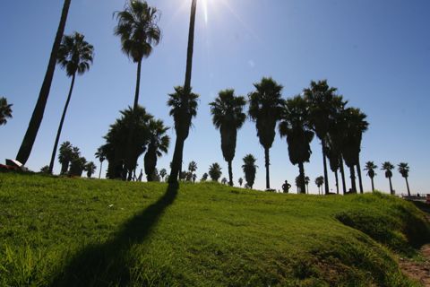 Venice Beach Recreation Center Photo 38