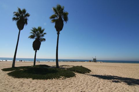 Venice Beach Recreation Center Photo 47