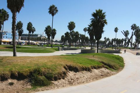Venice Beach Recreation Center Photo 36