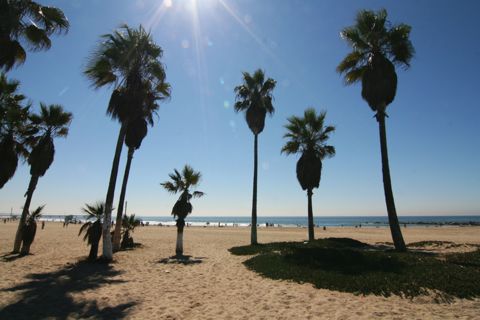 Venice Beach Recreation Center Photo 48