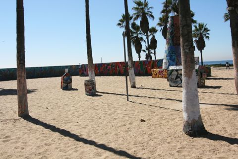 Venice Beach Recreation Center Photo 45