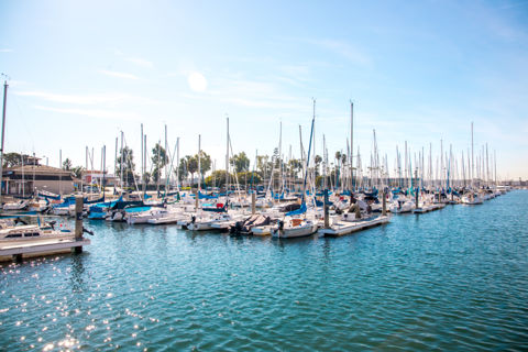 Marina Beach Photo 4