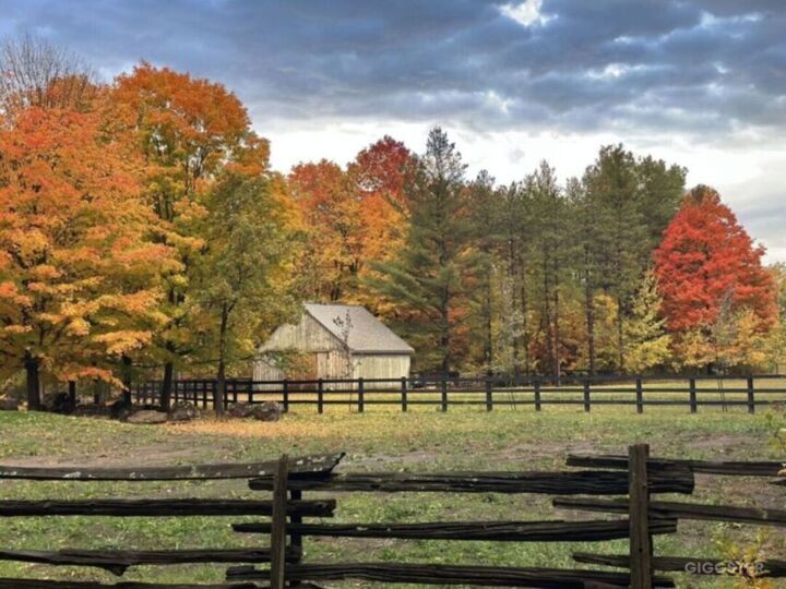 Ideal location in Hamilton (Freelton) w/ 10 acre Rent this location