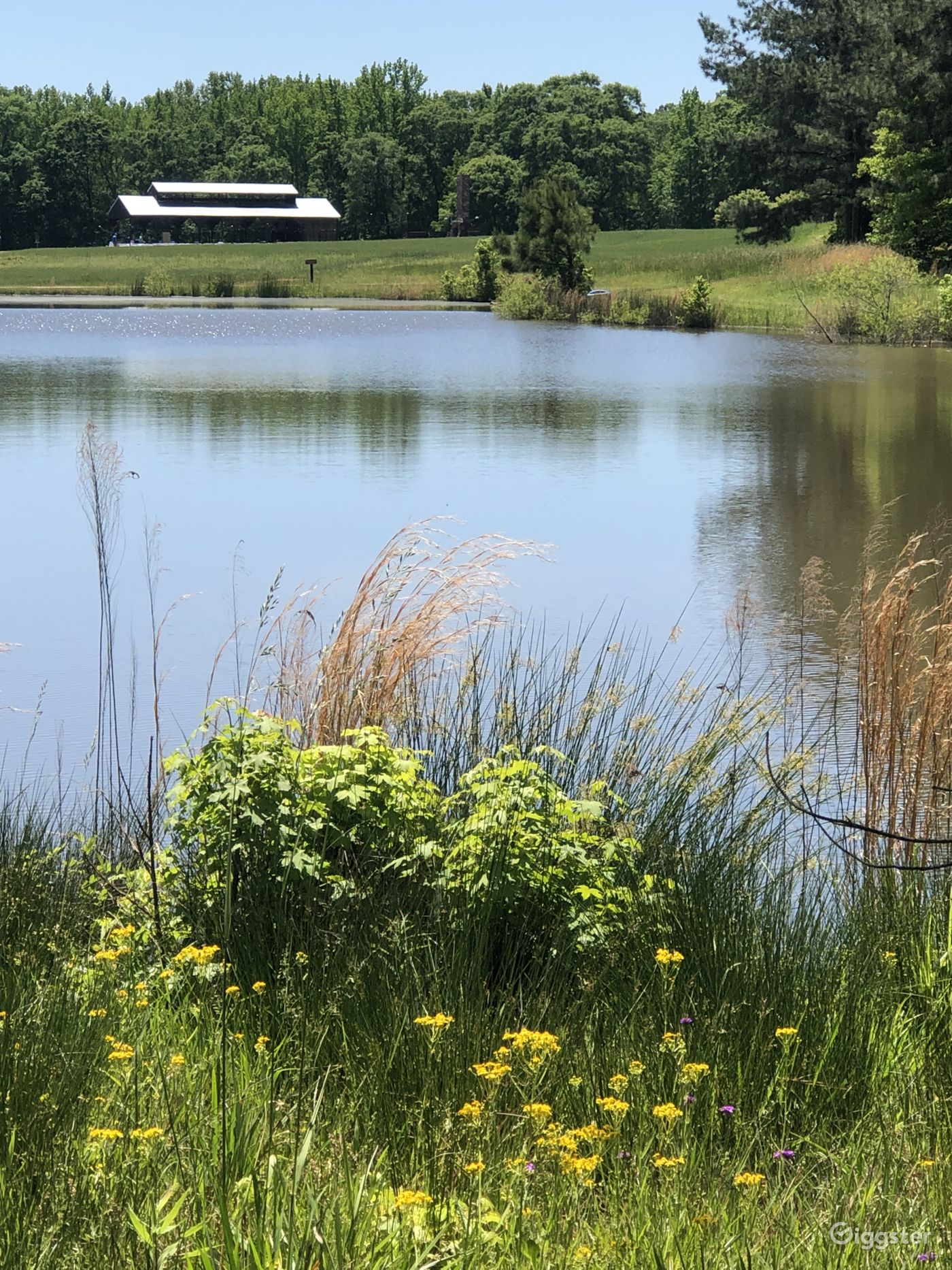 Greenville Farms and Event Venue Rent this location on Giggster