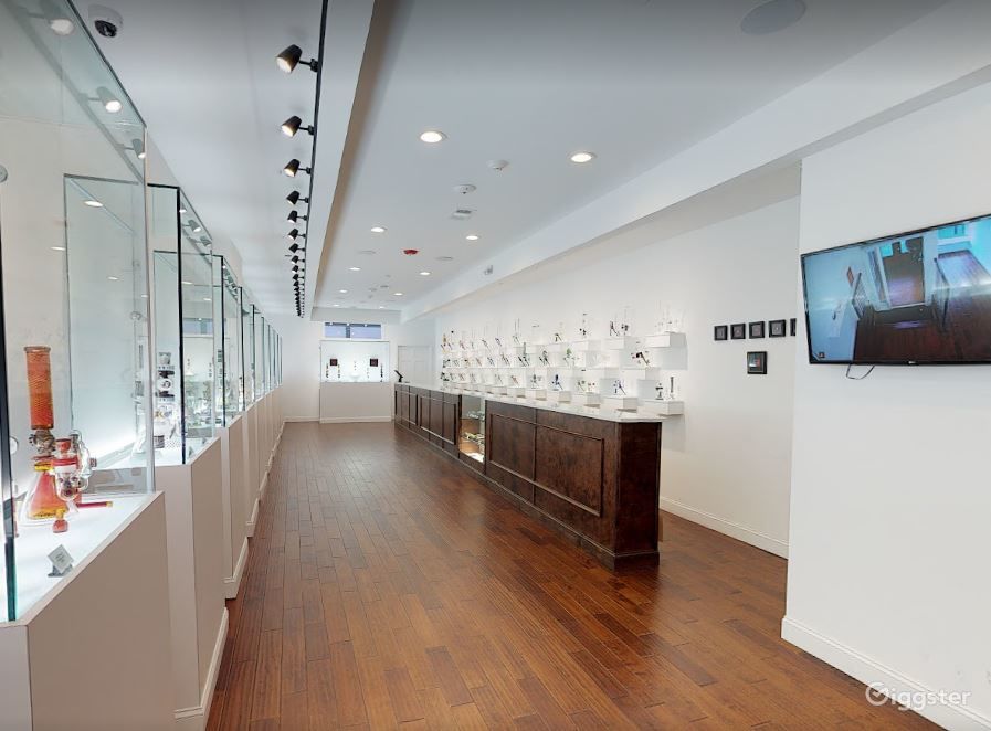 High-End Glass Artworks Gallery In Philadelphia | Rent this location on Giggster