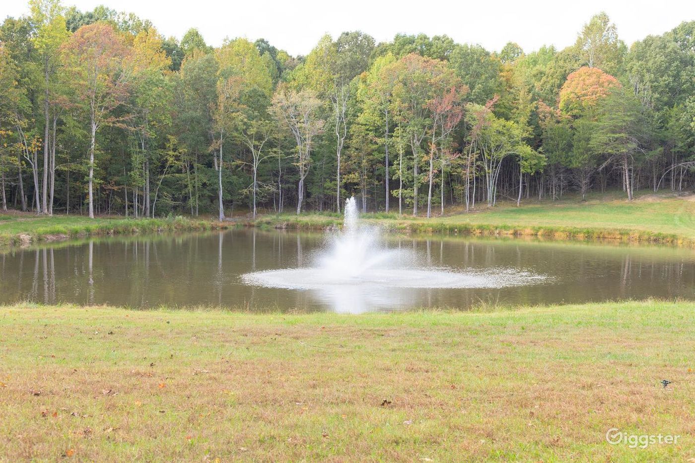 A Breathtaking Country Wedding Venue in Rice, VA Rent this location on Giggster