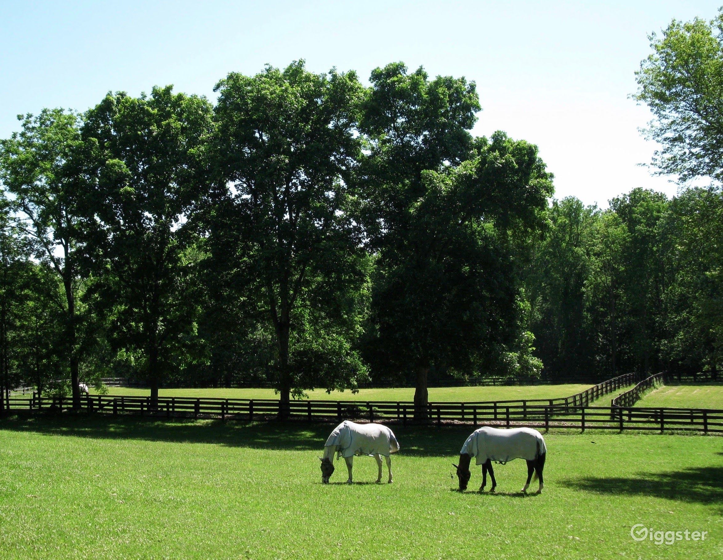 Beautiful Westchester County Horse Farm Rent this location on Giggster