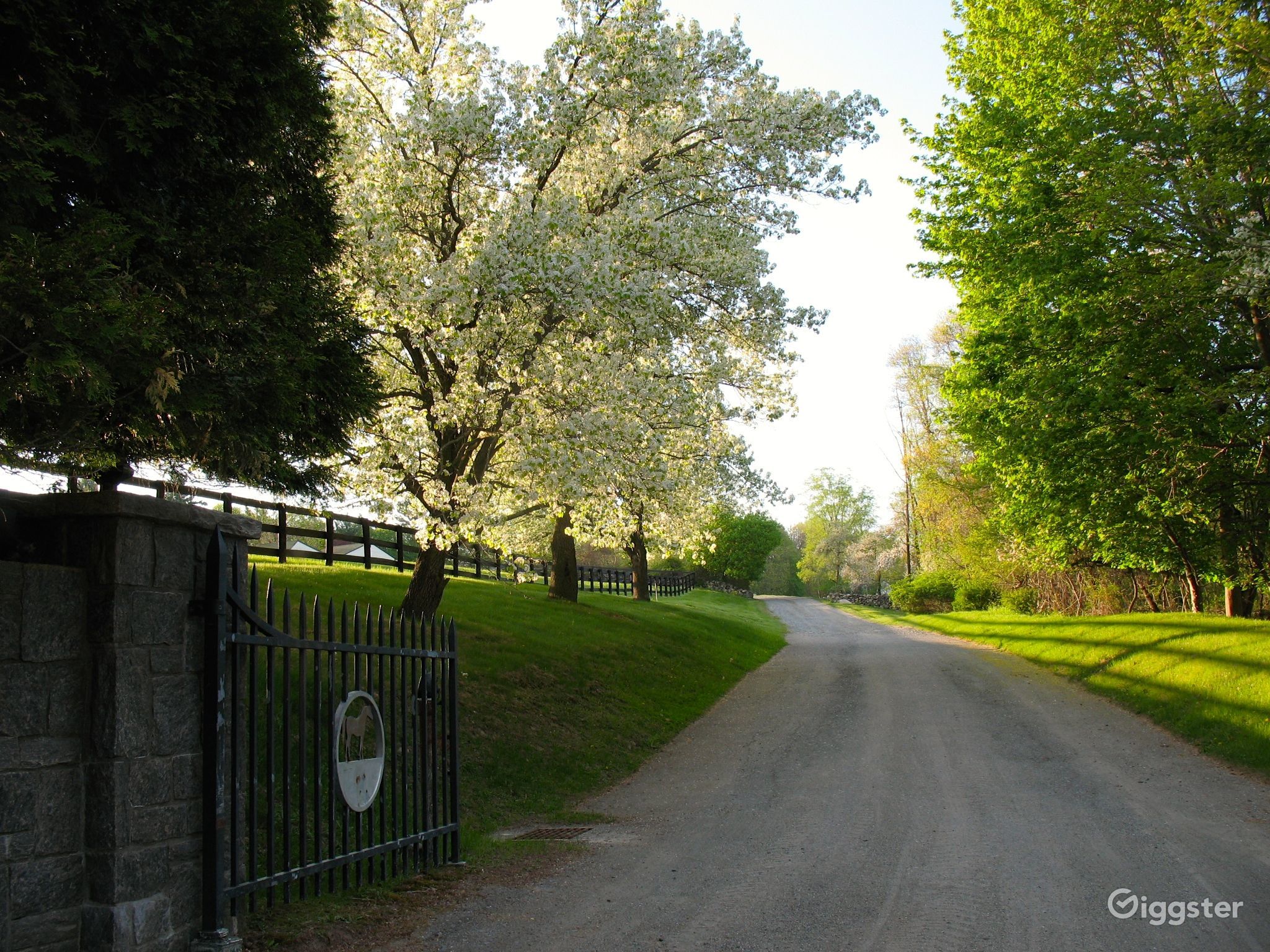 Beautiful Westchester County Horse Farm Rent this location on Giggster
