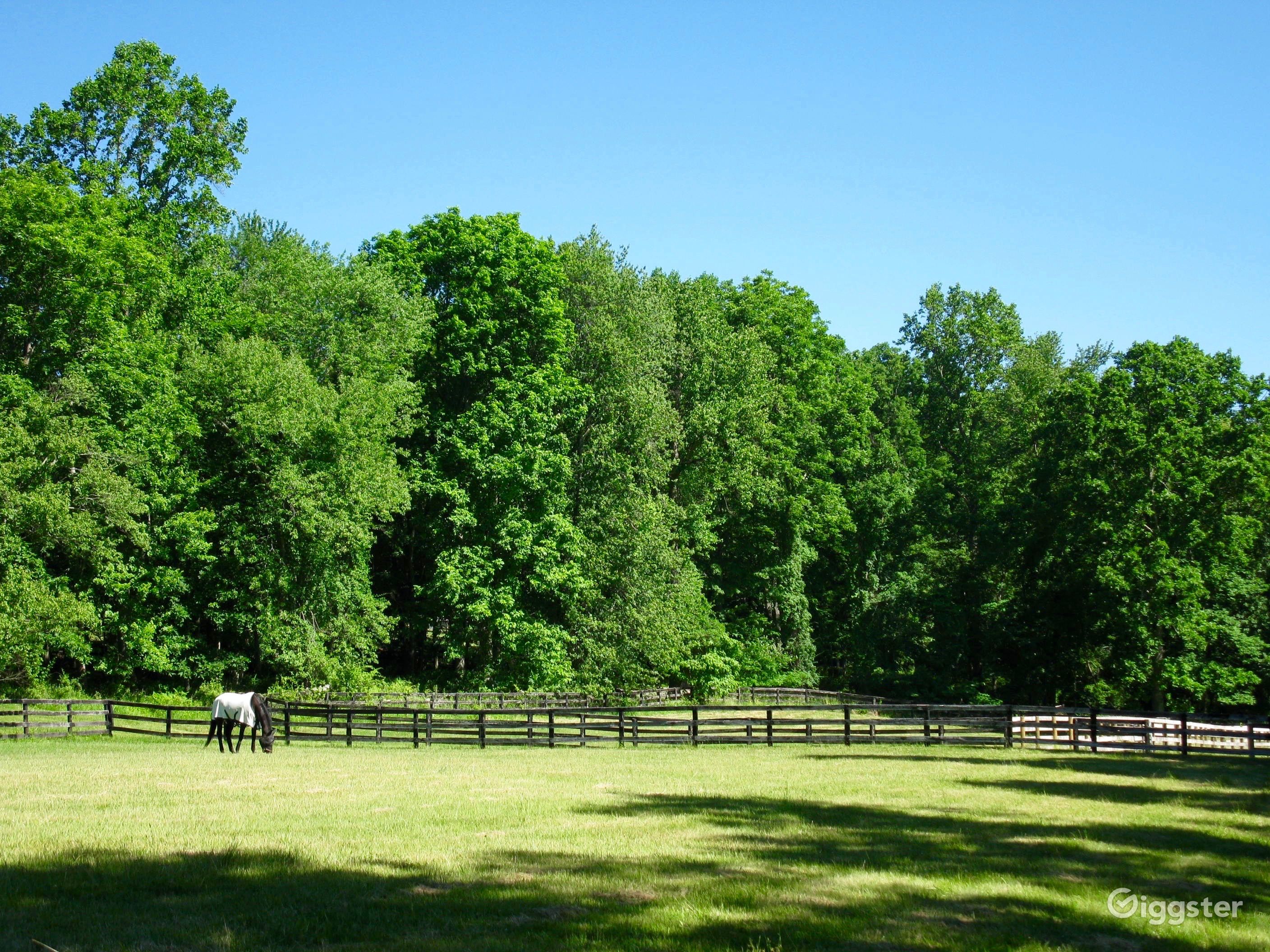 Beautiful Westchester County Horse Farm Rent this location on Giggster